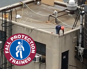 Fall Protection Trained Hard Hat Decal