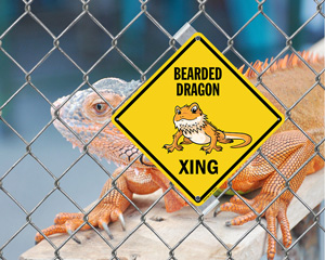 Funny Animal Parking Sign