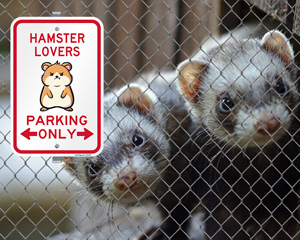 Funny Animal Street Sign