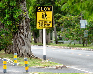 Crossing Signs