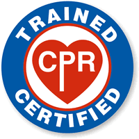 TRAINED / SYMBOL / CERTIFIED Hard HAT DECAL