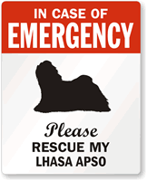 Emergency   Lhasa Apso