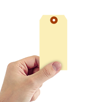 Manila 10 point Cardstock Tags