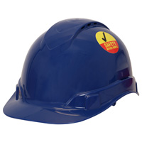 Safety message label for hard hats
