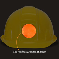 Reflective Safety Label for Hard Hats
